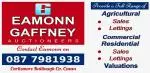 Eamonn Gaffney Auctioneers (AD FOR CLASS)