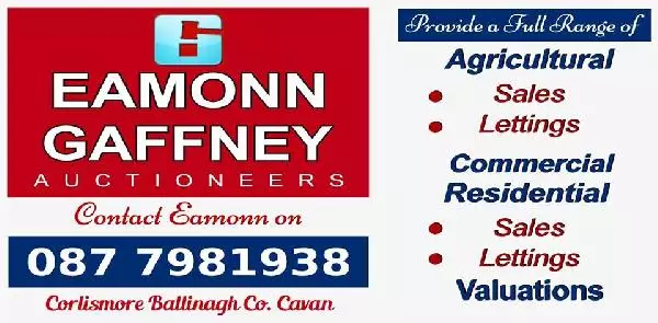 Eamonn Gaffney Auctioneers (AD FOR CLASS)